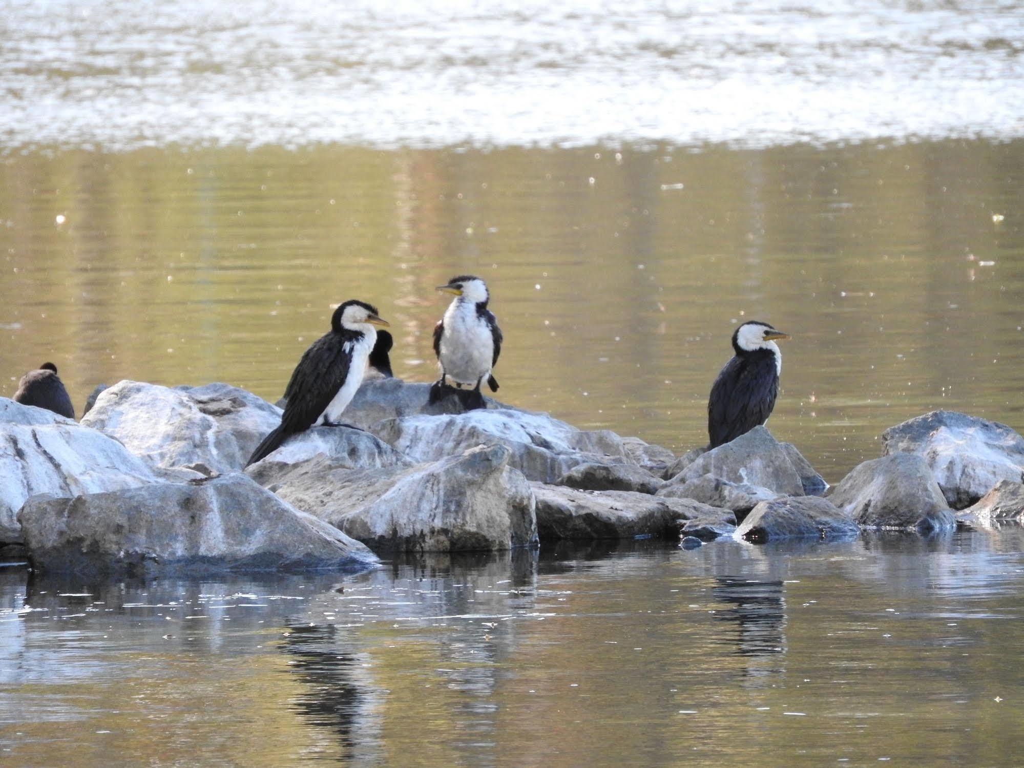 Victoria Lake Holiday Park Shepparton Luaran gambar